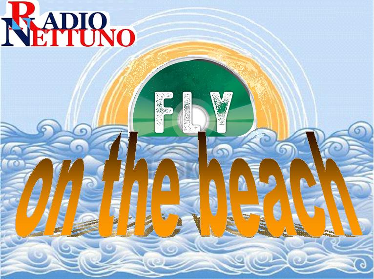 fly on the beach fb